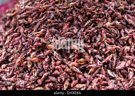 Les sauterelles appelé chapulines épicé au marché de Benito Juarez à Oaxaca, au Mexique. Banque D'Images