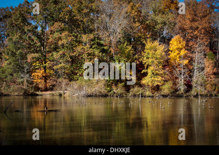 Les feuilles de l'automne reflète dans lake Banque D'Images