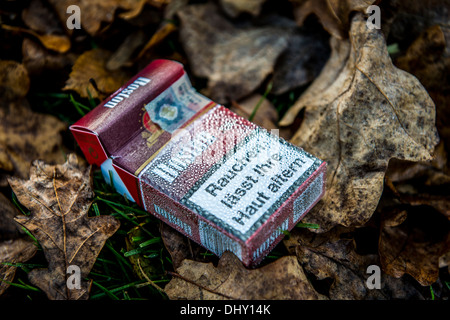 Paquet de cigarettes jetés sur les feuilles d'automne Banque D'Images