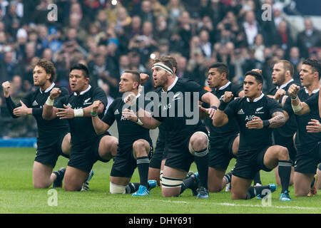 Londres, Royaume-Uni. 16 Nov, 2013. Effectuer le Haka néo-zélandais avant l'International Rugby Union montage approprié entre l'Angleterre et la Nouvelle-Zélande de Twickenham. Credit : Action Plus Sport/Alamy Live News Banque D'Images