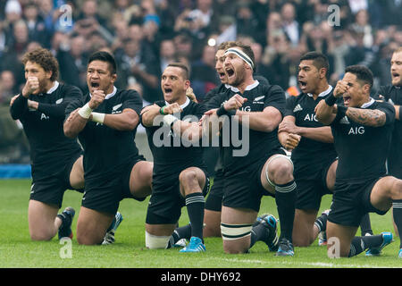 Londres, Royaume-Uni. 16 Nov, 2013. Effectuer le Haka néo-zélandais avant l'International Rugby Union montage approprié entre l'Angleterre et la Nouvelle-Zélande de Twickenham. Credit : Action Plus Sport/Alamy Live News Banque D'Images