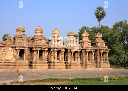 Kailasanathar Temple (8e siècle), Kanchipuram, Tamil Nadu, Inde Banque D'Images