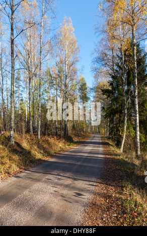 Bel Automne en Finlande Banque D'Images