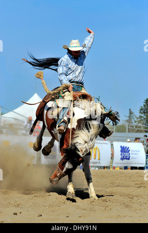 Un cowboy monte un monte de tronçonnage à un événement saddle bronc riding Banque D'Images