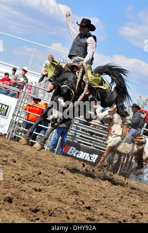 Un cowboy monte un bucking bronc lors d'une monte de chevaux de selle la concurrence Banque D'Images