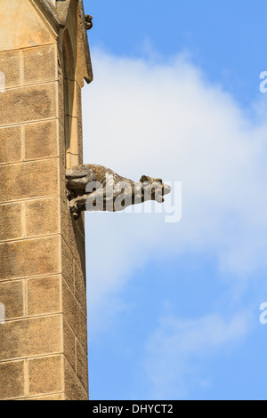 Gargoyle (église gothique détail architectural) Banque D'Images