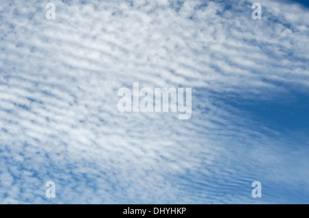 Nuages Cirrocumulus et cirrus radiatus Banque D'Images