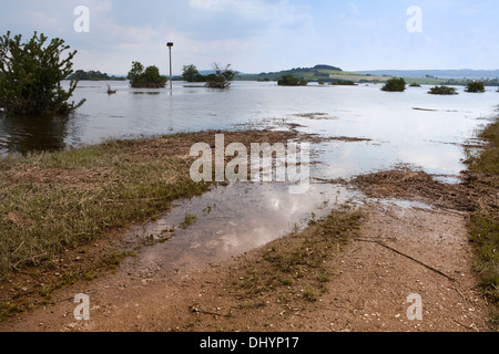 Bassin de rétention des crues inondées de la rivière Leine, Einbeck Salzderhelden, Basse-Saxe, Allemagne, Europe, Banque D'Images