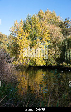 Scène d'automne à St James's Park, Londres Banque D'Images