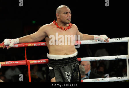 Hamilton, Nouvelle Zélande. 16 Nov, 2013. La boxe. David tua v Alexander Ustinov. Hydr8 Zéro, David v Goliath par Duco, événements Claudelands Event Centre, Hamilton, Nouvelle-Zélande. Credit : Action Plus Sport/Alamy Live News Banque D'Images