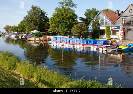 Le Parc naturel Steinhuder Meer Steinhude, Mer, Steinhude, Wunstorf, Basse-Saxe, Allemagne, Europe, Banque D'Images