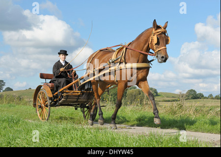 Dessin cheval Standardbred américain a fait un concert en 1920 à Milan Banque D'Images