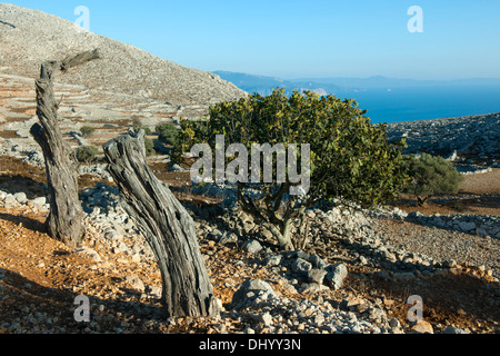 Spanien, Dodécanèse, Insel Chalki, Blick vom Kloster Agios Ioannis Okoda zur Insel Rhodos Banque D'Images