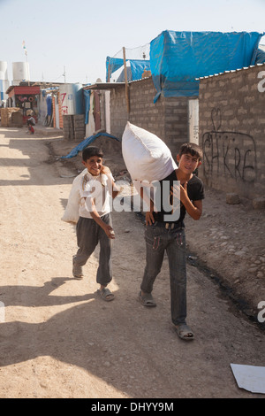 Camp de Domiz - réfugiés syriens transportant du blé Banque D'Images