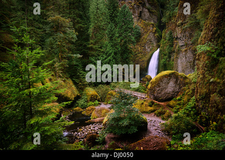 Wahclella Falls dans la Columbia Gorge, Oregon Banque D'Images