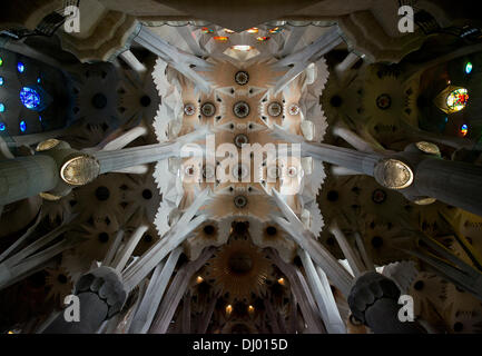 Barcelone, Espagne. 19 Oct, 2013. La basilique de la Sagrada Familia (basilique et l'Église expiatoire de la Sainte Famille) montrant le plafond et la ramification des colonnes de différentes hauteurs qui l'appuient à Barcelone, Espagne, 19 octobre 2013. Ils sont conçus pour créer une atmosphère d'une forêt. Ils forment une structure équilibrée qui supporte le poids si les voûtes, plafonds, et des tours. Credit : Ron Sachs / CNP/dpa/Alamy Live News Banque D'Images