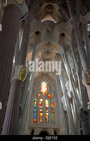 Barcelone, Espagne. 19 Oct, 2013. La basilique de la Sagrada Familia (basilique et l'Église expiatoire de la Sainte Famille) montrant le plafond et la ramification des colonnes de différentes hauteurs qui l'appuient à Barcelone, Espagne, 19 octobre 2013. Les colonnes sont conçues pour créer une atmosphère d'une forêt. Ils forment une structure équilibrée qui supporte le poids si les voûtes, plafonds, et des tours. Credit : Ron Sachs / CNP/dpa/Alamy Live News Banque D'Images