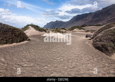 Se cacher dans les dunes de sable de la plage de Famara Banque D'Images