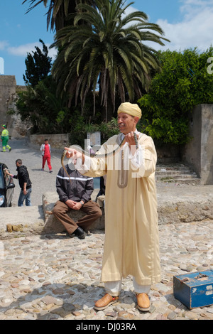 Un charmeur de serpent d'effectuer pour les touristes. Tanger, Maroc. Banque D'Images