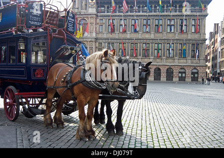 Des chevaux de trait dans le centre historique d'Anvers, en attente d'amener les touristes sur une visite guidée. Banque D'Images