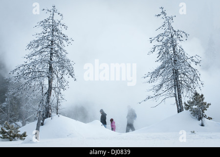 Trois personnes de la randonnée le long de Old Faithful Geyser basin boardwalk pendant une tempête de neige au Parc National de Yellowstone, Wyoming, USA Banque D'Images