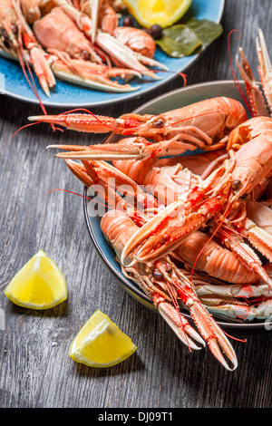 Langoustines fraîchement préparé servi avec du citron Banque D'Images