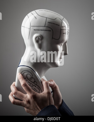 Phrenological tête dans les mains sur un arrière-plan gris Banque D'Images