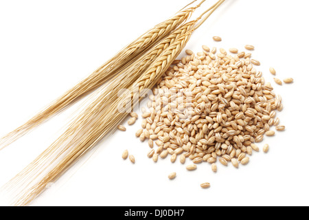 L'orge (Hordeum) avec de l'orge perlé isolated on white Banque D'Images