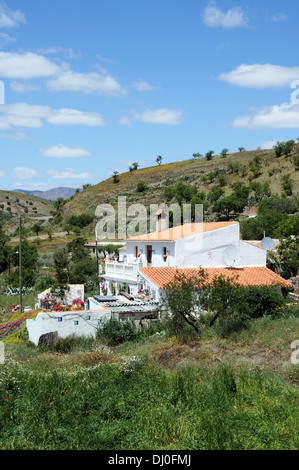 Maisons de campagne avec de jolies fleurs de printemps sur la colline, près de l'Puertecico, la Province d'Almeria, Andalousie, Espagne, Europe de l'Ouest. Banque D'Images