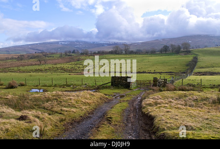 Ferme la voie humide et boueux champs balayés par les terres agricoles, à la périphérie nord de l'hiver, Caldbeck fells, Cumbria Lake District UK Banque D'Images