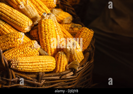 Le maïs jaune frais dans le panier sur le fond sombre. Concept agricole récolte Banque D'Images