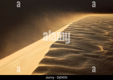 Le vent soufflant sur les dunes au coucher du soleil Banque D'Images