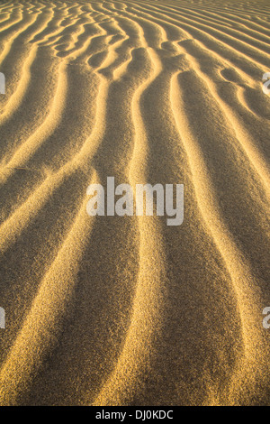 Dunes de sable dans les lignes au coucher du soleil Banque D'Images