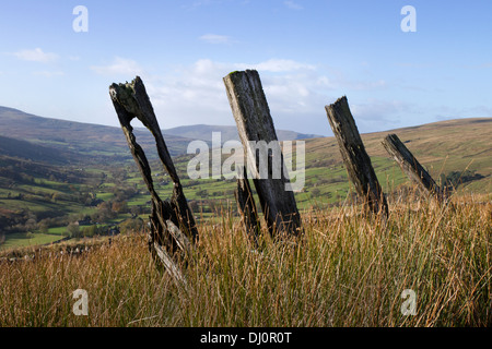 Low angle view of carier, poteaux de clôture en bois en décomposition ; Rotten traverses de chemin de fer, Cowgill, Dent village dans le sud du district de Lakeland, Cumbria (Royaume-Uni) Banque D'Images