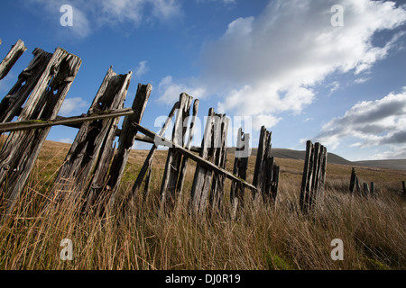 Low angle view of carier, poteaux de clôture en bois en décomposition ; Rotten traverses de chemin de fer, Cowgill, Dent village dans le sud du district de Lakeland, Cumbria (Royaume-Uni) Banque D'Images