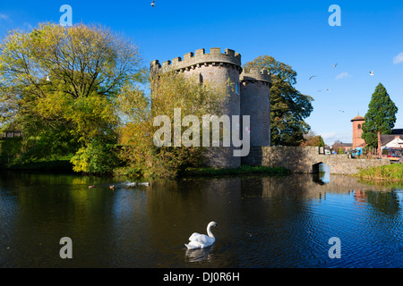 Un cygne muet sur le fossé à Whittington Castle en automne, Shropshire, Angleterre Banque D'Images