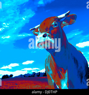 Portrait de vache dans un style pop-art. Portrait de vache façon Pop Art. Banque D'Images