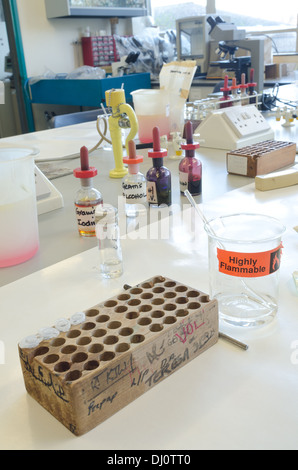 L'autoclave de microbiologie de l'équipement stérile pour la culture cellulaire avec des bactéries en biologie science laboratory Banque D'Images