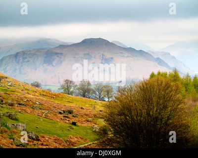 Montagnes brumeuses de Bonscale Pike de Ornans dans le Parc National de Lake District Cumbria England UK avec des arbres en premier plan Banque D'Images