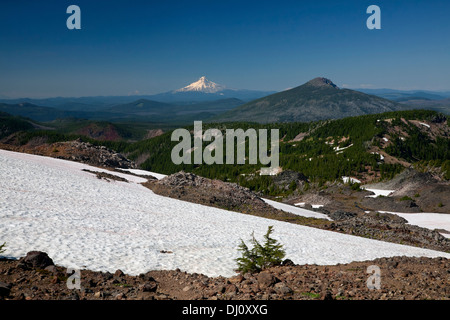 Mount Hood avec le Mont Rainier et le Mont Adams à distance du Pacific Crest Trail sur Park Ridge de Mount Jefferson Wilderness. Banque D'Images