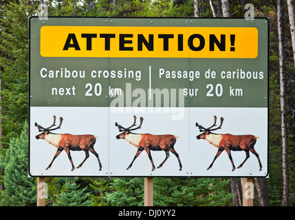 Prudence avant de la faune Caribou Crossing road avertissement sur la promenade des Glaciers du parc national de Jasper Alberta Canada Banque D'Images