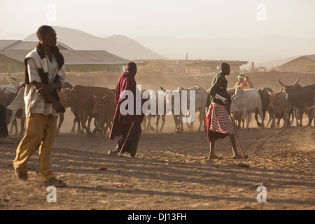 Marché du bétail à l'Oldonyo Sambu, Tanzanie, Afrique de l'Est. Banque D'Images