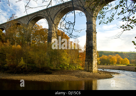 Northumberland Viaduc Lambley Banque D'Images