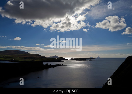 Ballaghnanea la tête, son macareux macareux et l'Irlande, l'île de Valencia, l'Anneau du Kerry, comté de Kerry, Irlande Banque D'Images