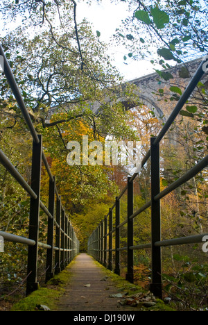 Passerelle sur la rivière Tyne à Lambley viaduc, Northumberland Banque D'Images