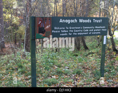 Anagach woods Trust près de Grantown-on-Spey Scotland Novembre 2013 Banque D'Images