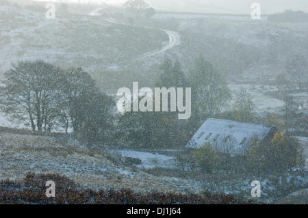 Cambrian Mountains, Powys, Wales, UK. 19 novembre 2013. Les températures ont chuté au-dessous du point de congélation la nuit dernière et une fine couche de neige sur les reliefs. Credit : Graham M. Lawrence/Alamy Live News. Banque D'Images