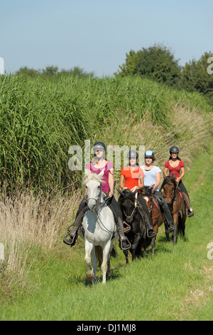 Paso Fino. Groupe de cyclistes sur un tour Banque D'Images