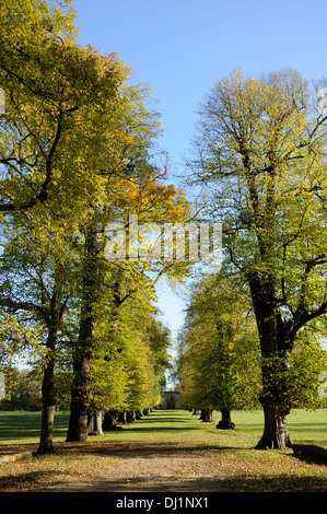 Couleurs d'automne dans le parc de Burghley, Stamford, Lincolnshire. Banque D'Images