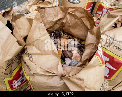 Les sacs en papier des feuilles d'automne en bordure de la rue Banque D'Images